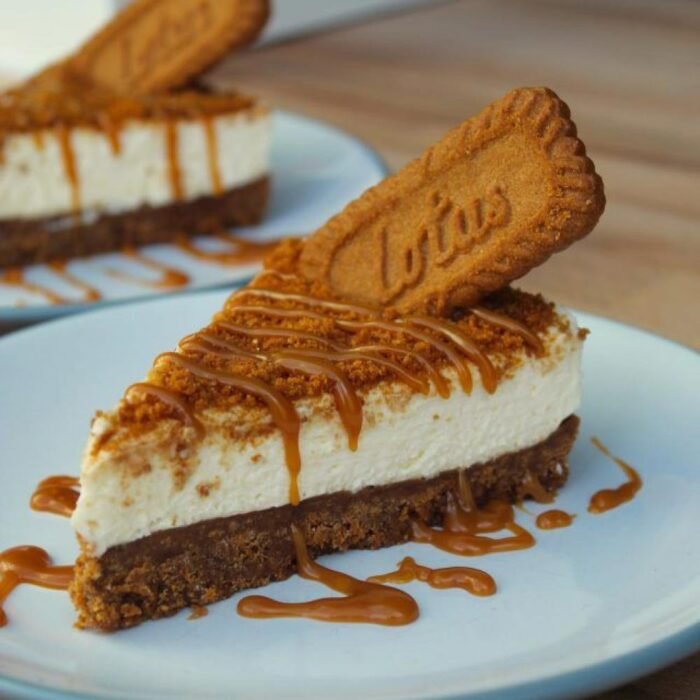 Lotus Biscoff Original 125gr - Image 2